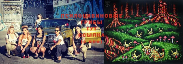 тгк Кодинск