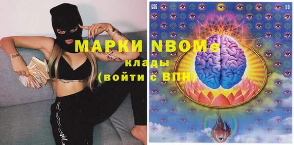 гашик Коряжма