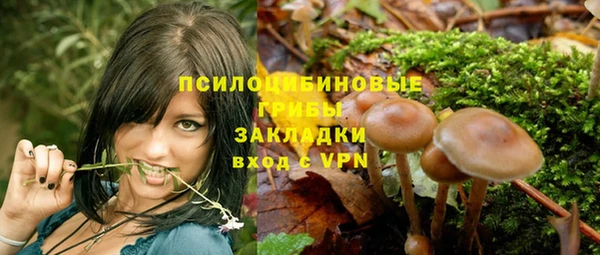 гидра Козловка