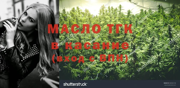 гидра Козловка