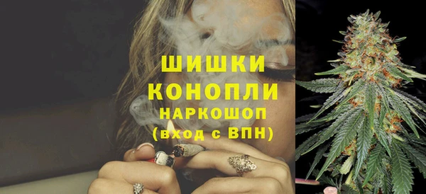 гидра Козловка