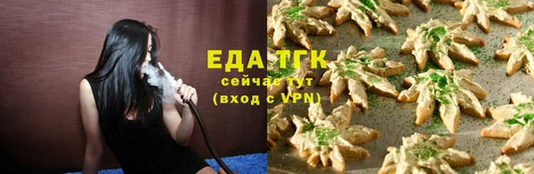 гашик Коряжма